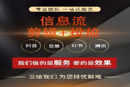 SEM广告投放的精准定位与优化案例